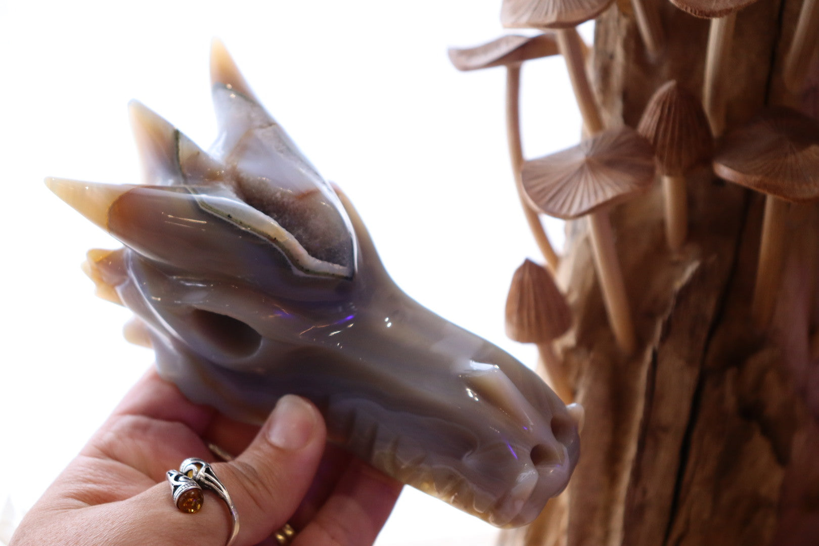 Druzy Agate Dragon Head Carving | 506g