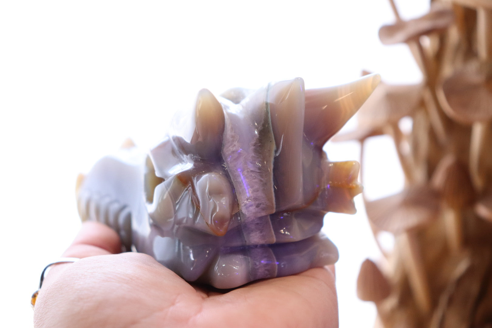 Druzy Agate Dragon Head Carving | 506g