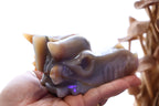 Druzy Agate Dragon Head Carving | 506g