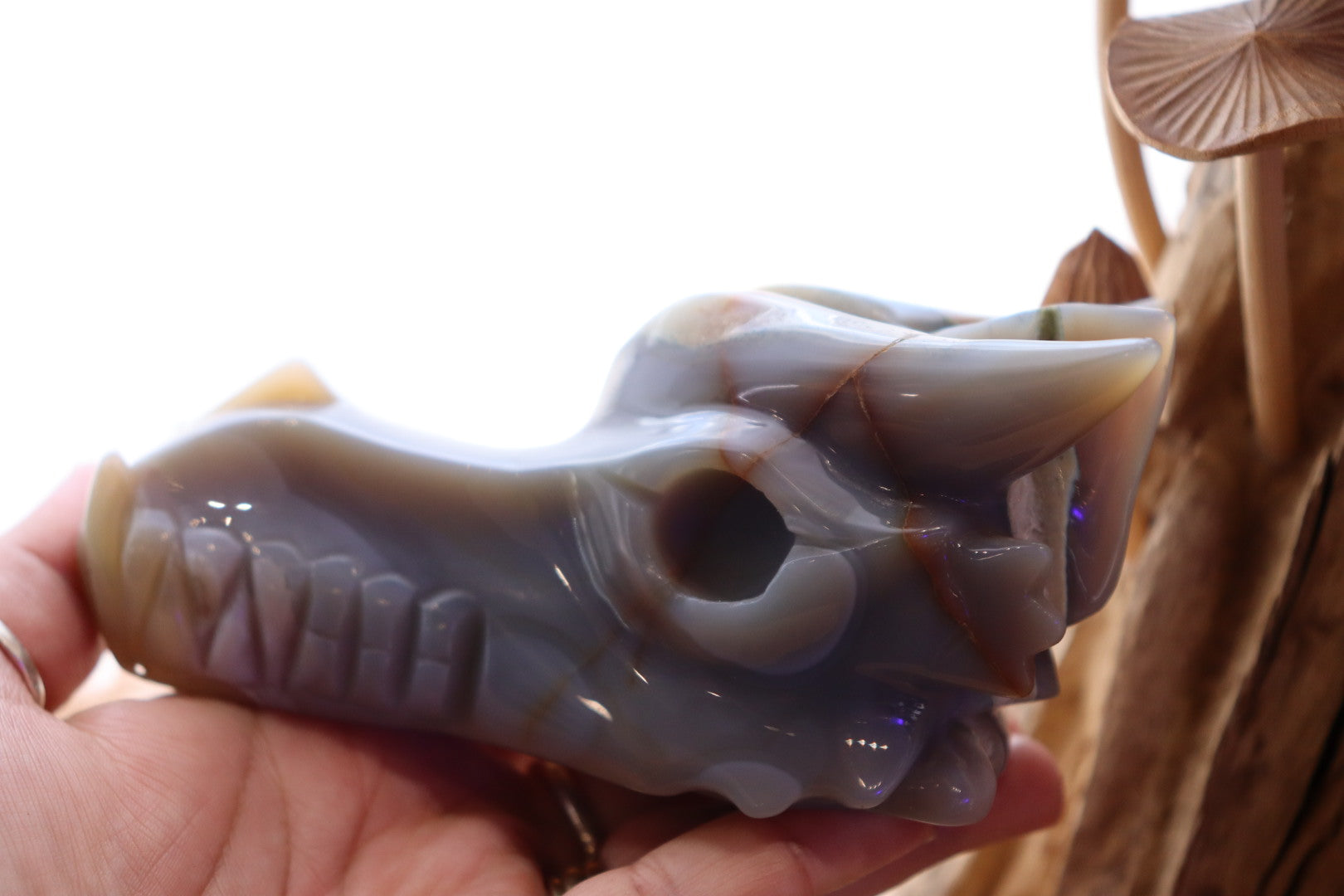 Druzy Agate Dragon Head Carving | 506g