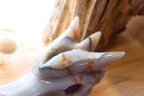 Druzy Agate Dragon Head Carving | 506g