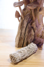 White Sage Smudge Stick (10-12cm)
