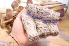 White Sage Smudge Stick (10-12cm)