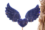 Sodalite Heart Angel Wings Set + Stand