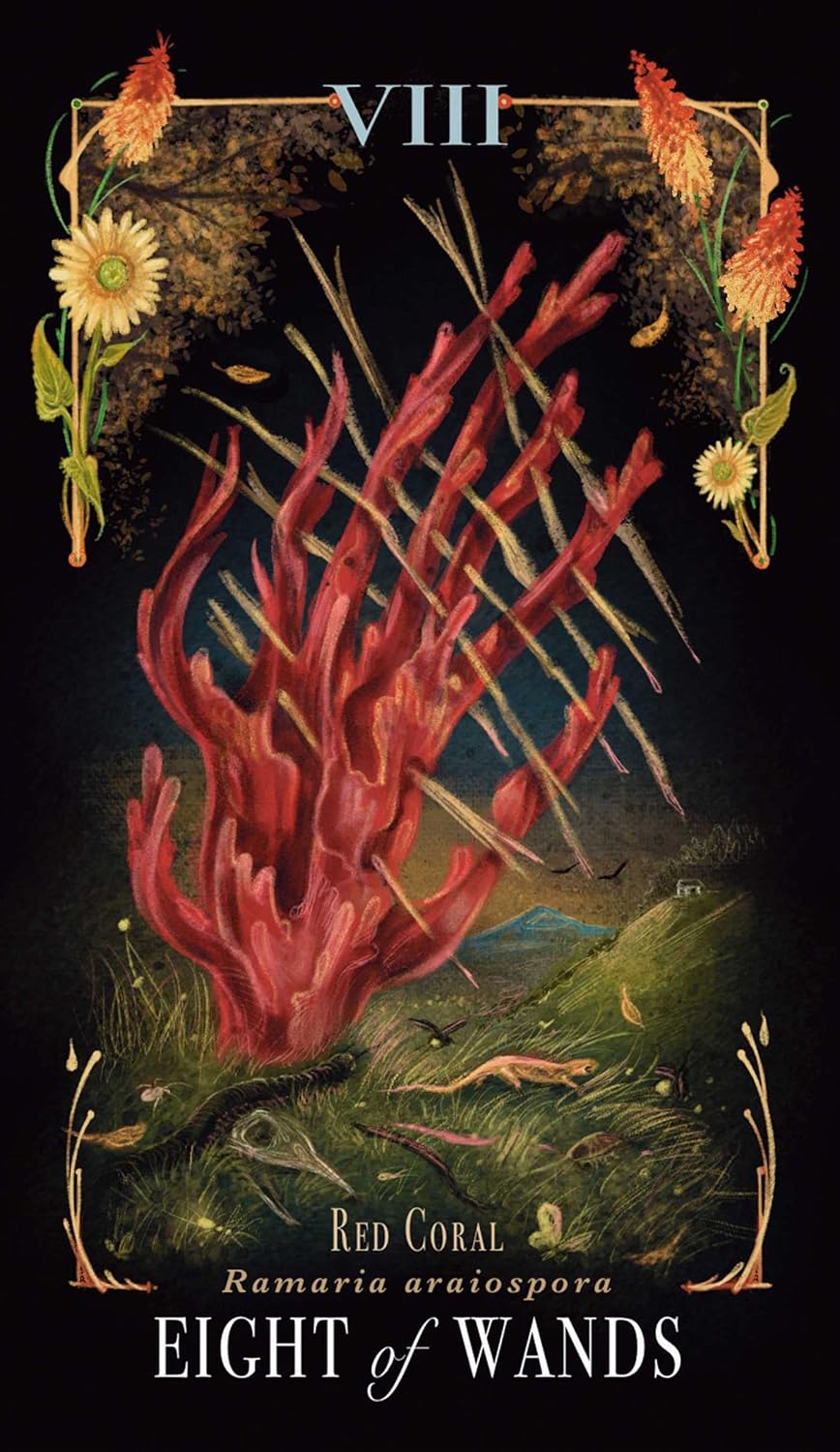 Midnight Magic: A Tarot Deck Of Mushrooms