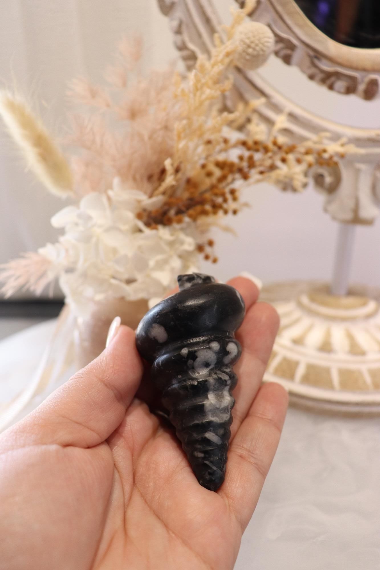 Orthoceras Fossil | Shell Carving