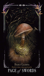 Midnight Magic: A Tarot Deck Of Mushrooms