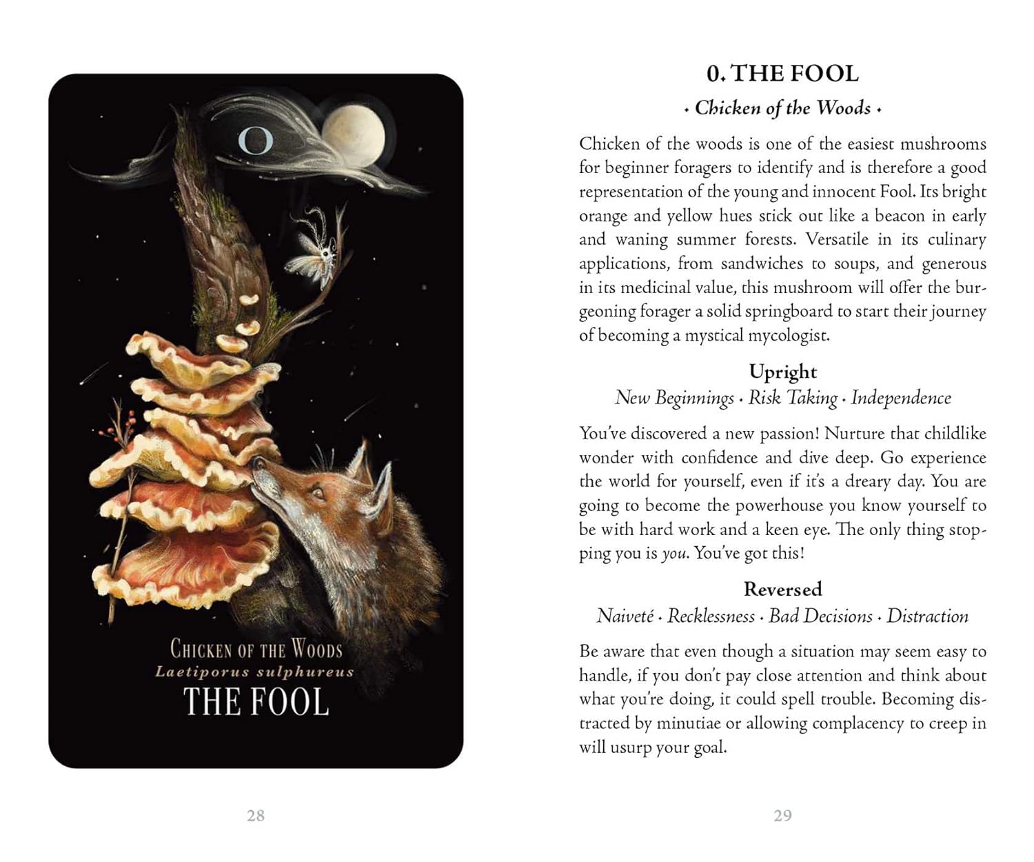 Midnight Magic: A Tarot Deck Of Mushrooms