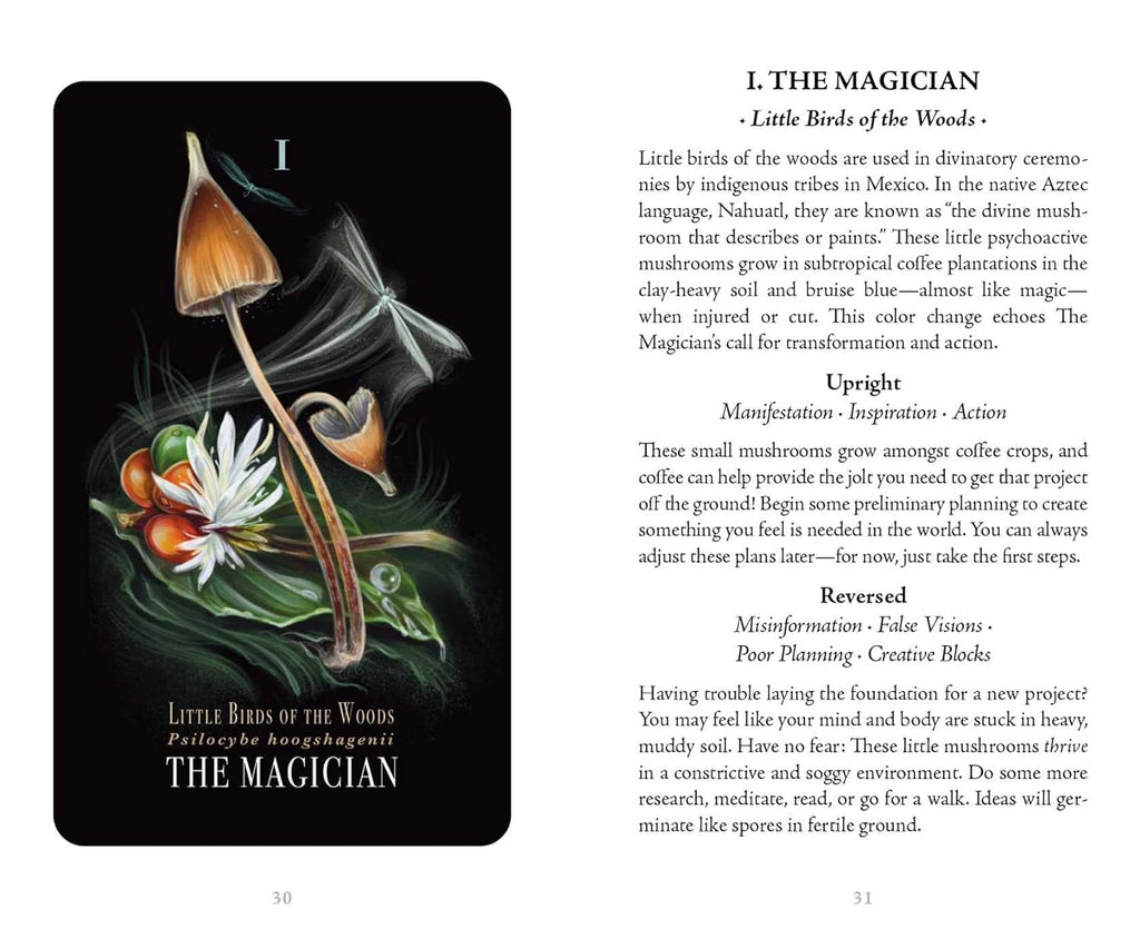 Midnight Magic: A Tarot Deck Of Mushrooms
