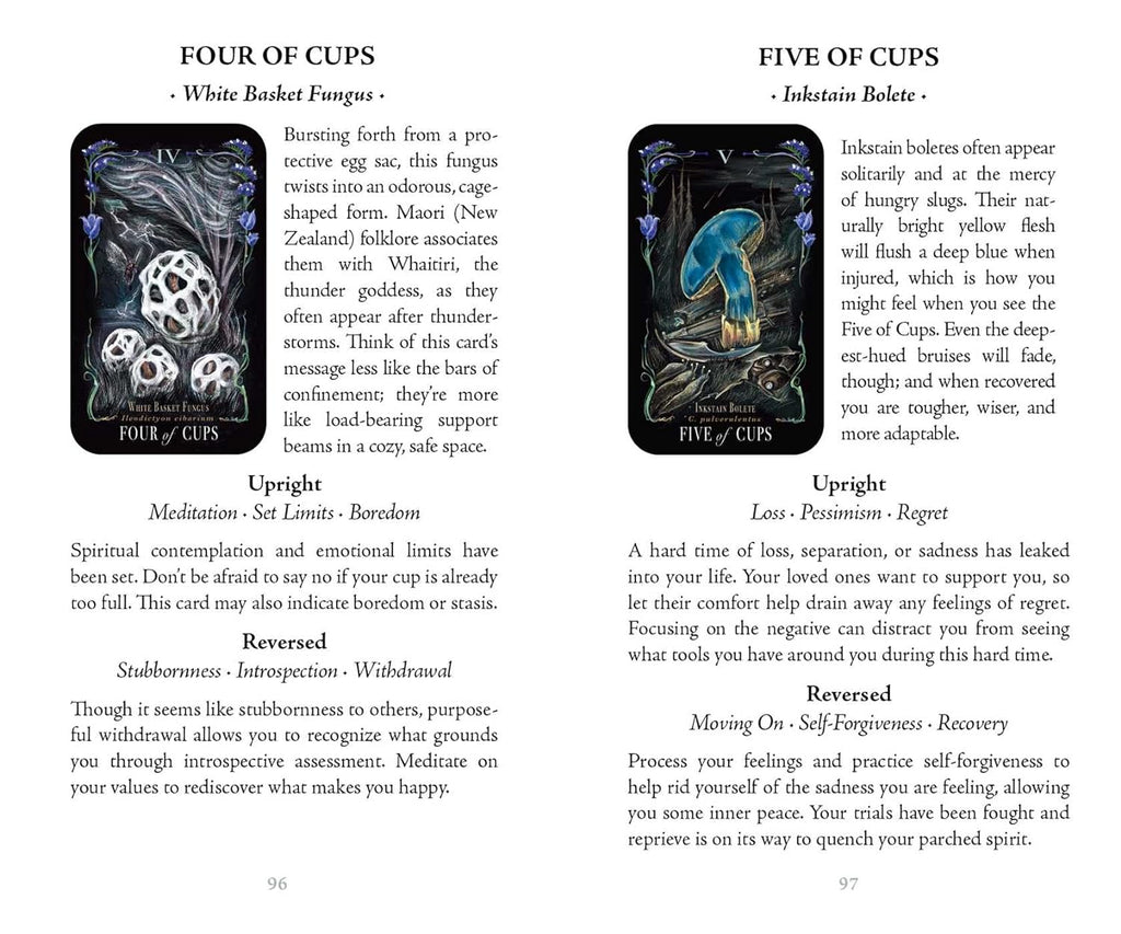 Midnight Magic: A Tarot Deck Of Mushrooms