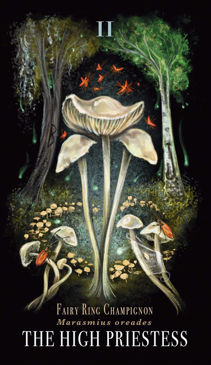 Midnight Magic: A Tarot Deck Of Mushrooms