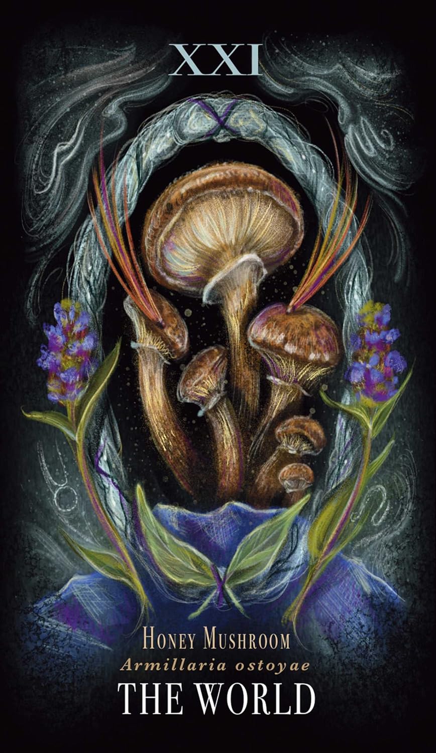 Midnight Magic: A Tarot Deck Of Mushrooms
