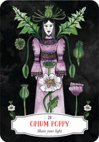 Deadly Apothecary Oracle: Poisonous plants as guides and healers