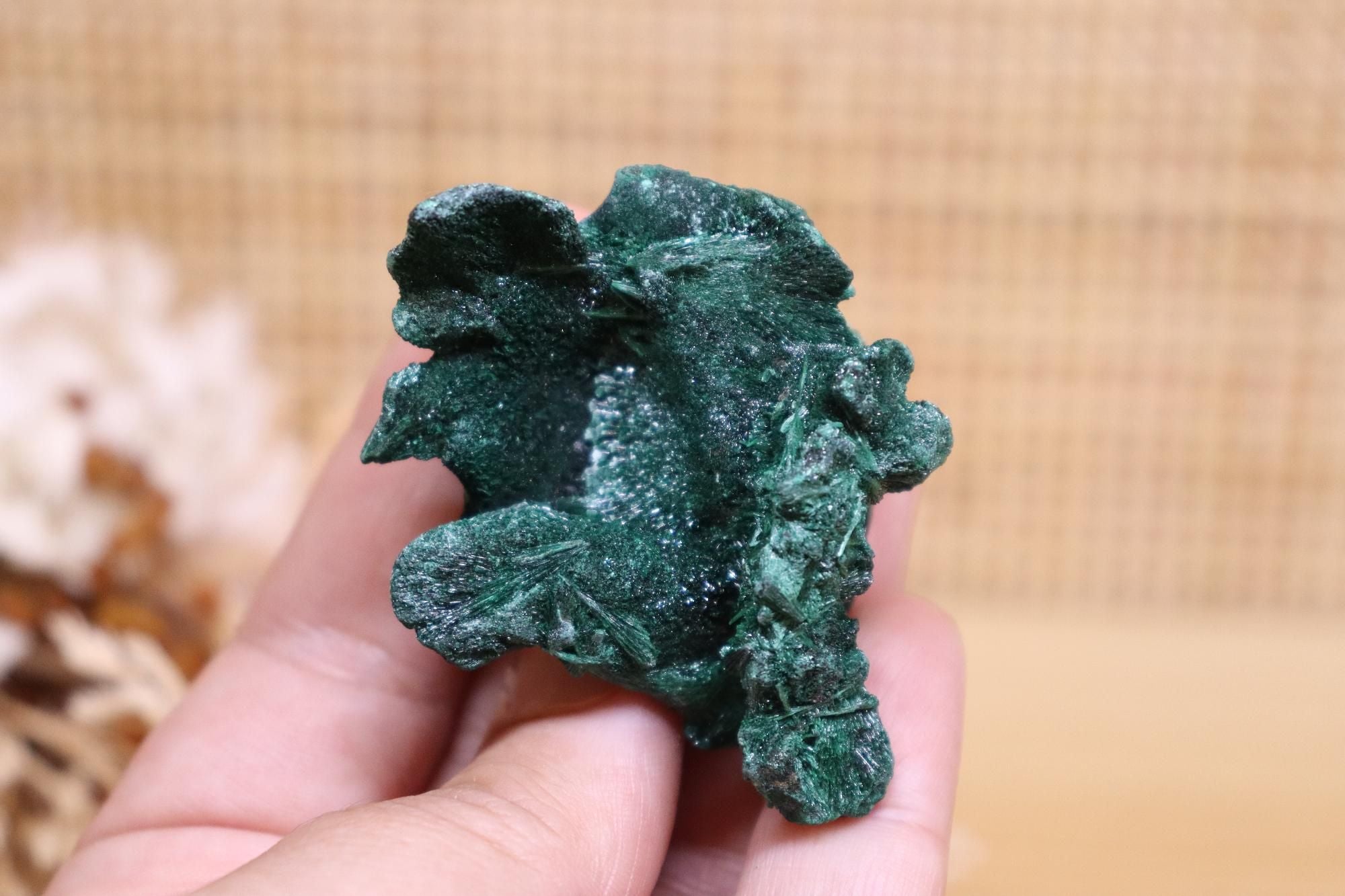 Raw Velvet Malachite | 47g