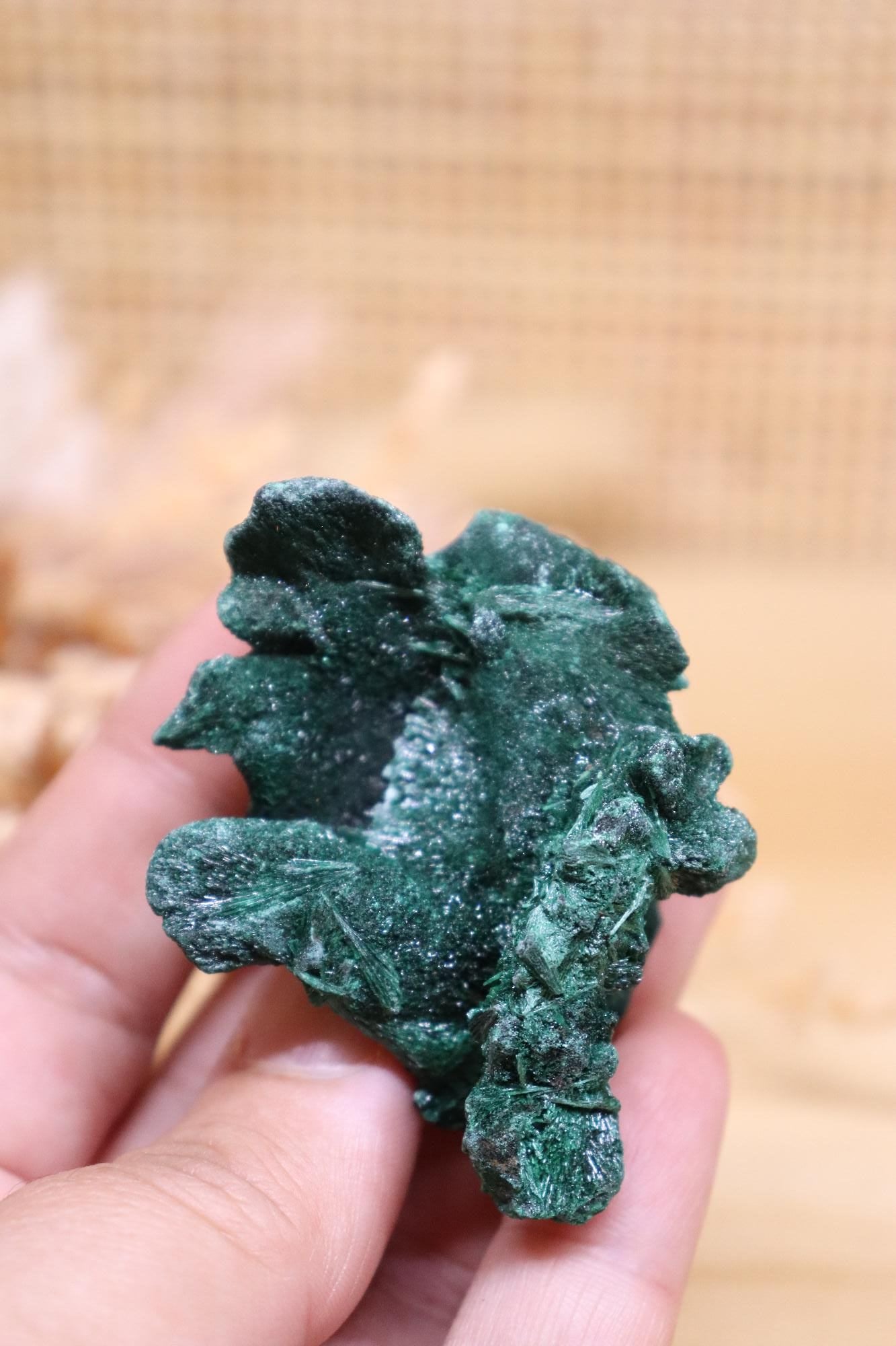 Raw Velvet Malachite | 47g
