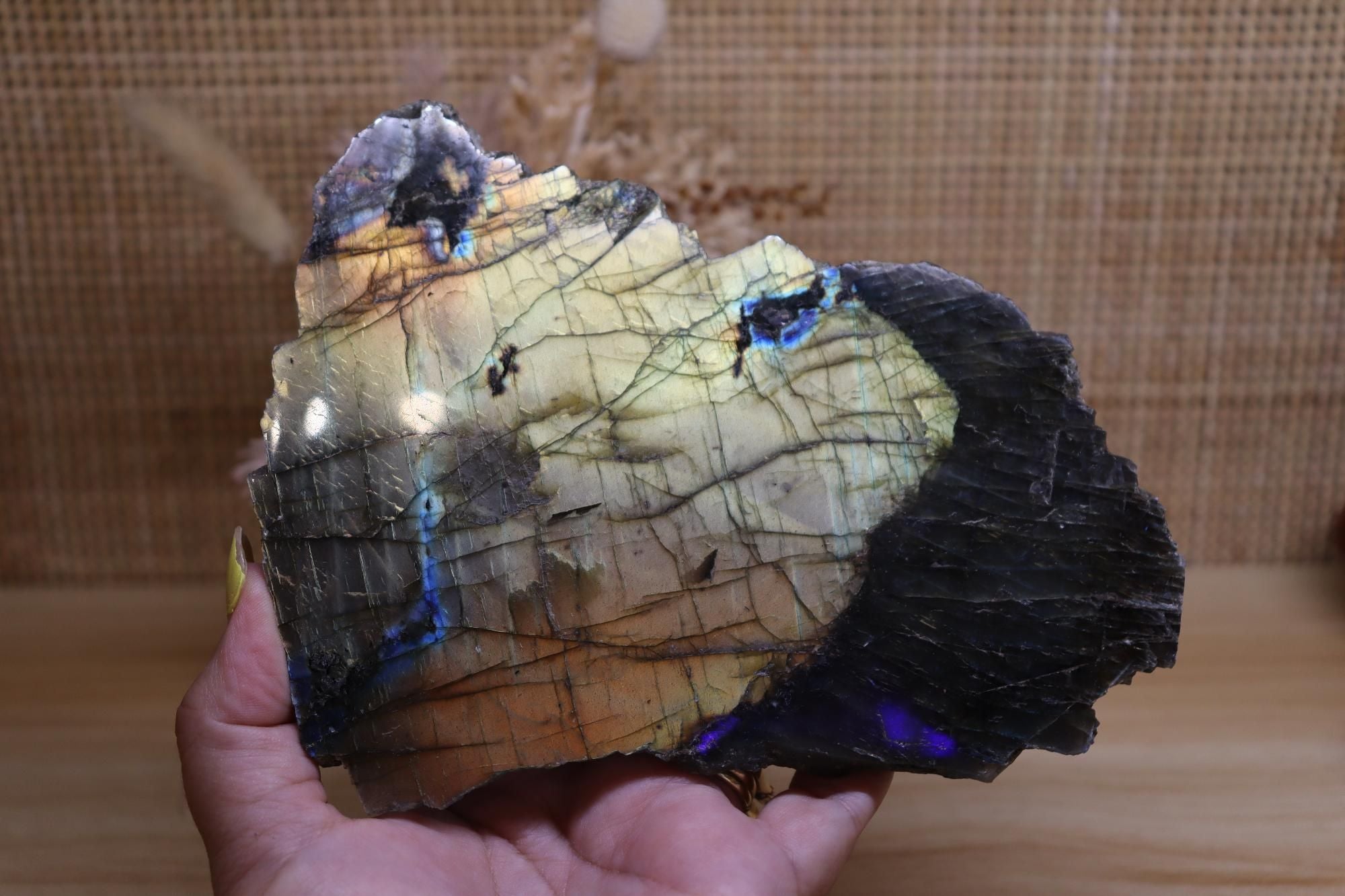 Labradorite Yellow| Polished + Raw 792g