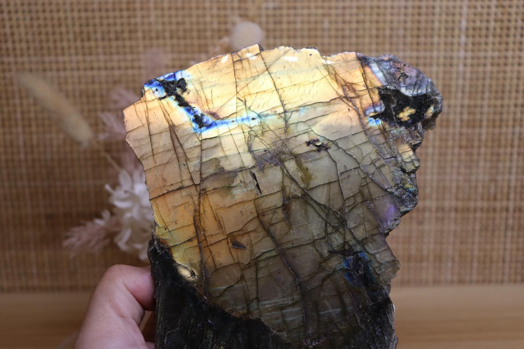 Labradorite Yellow| Polished + Raw 792g
