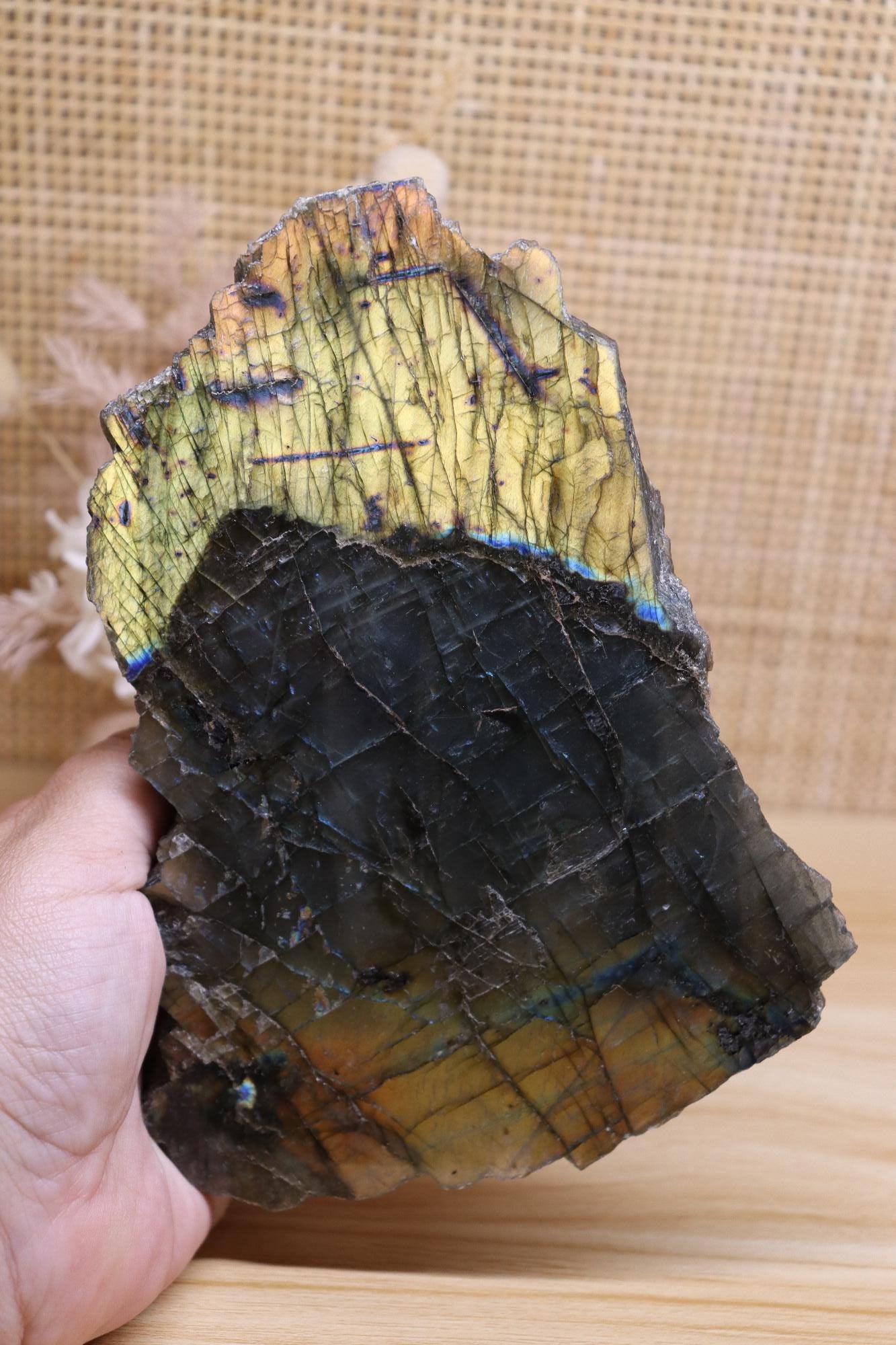 Labradorite Yellow| Polished + Raw 792g