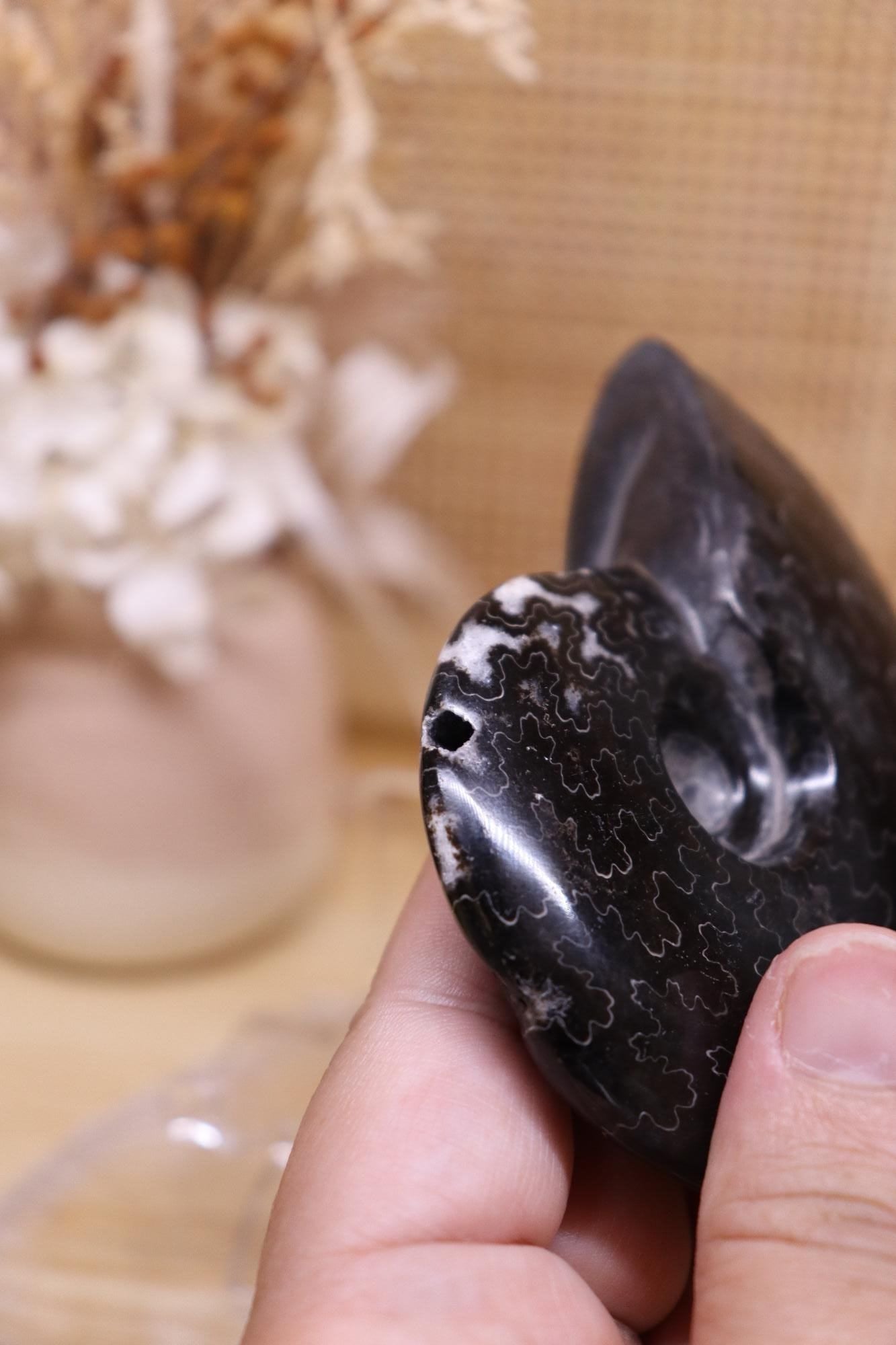 Black Ammonite | 161g