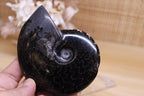 Black Ammonite | 161g