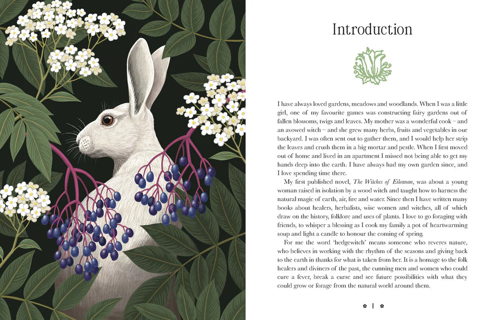 Kate Forsyth's Hedgewitch Oracle