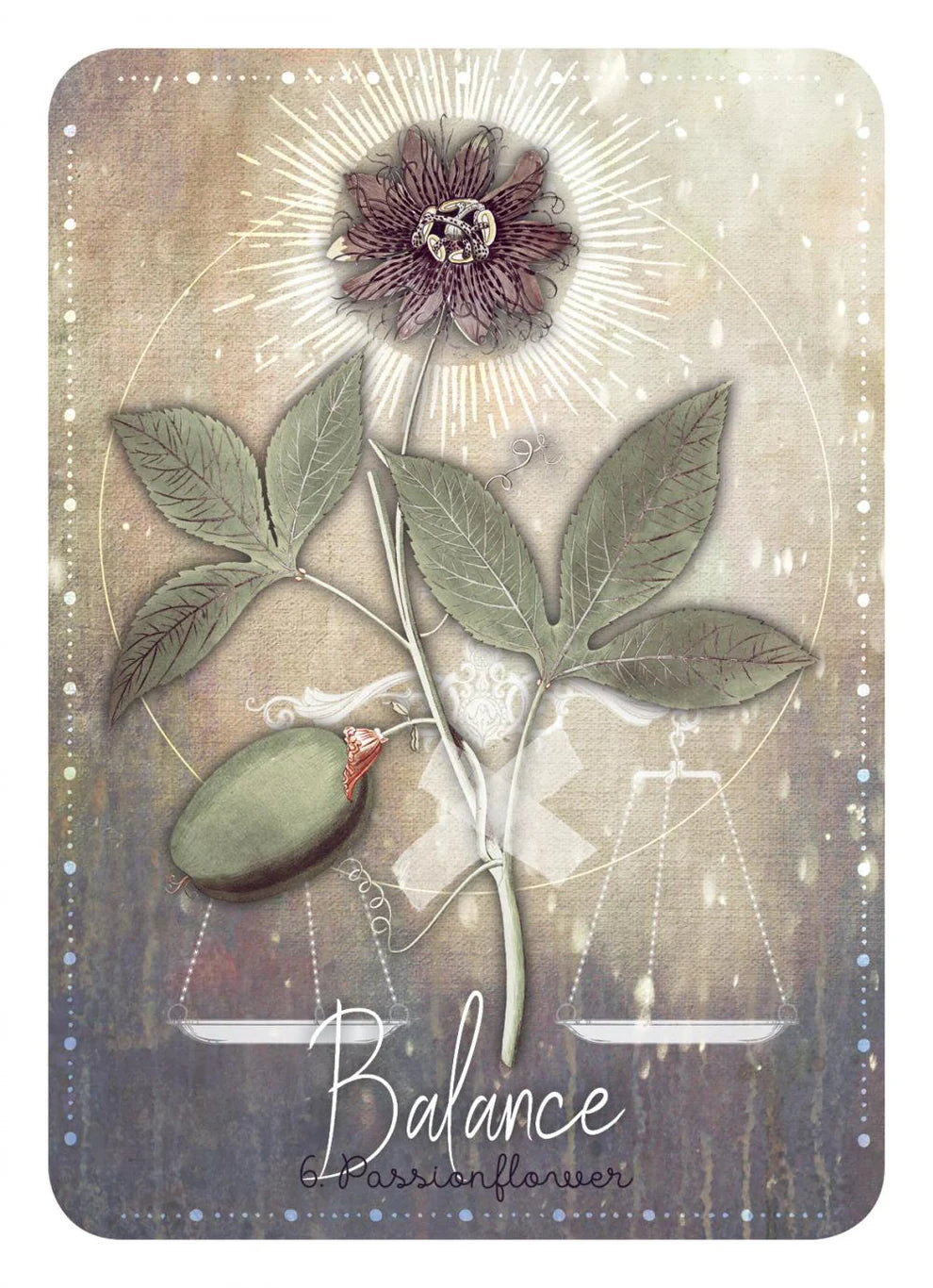 Magickal Herb Oracle: Enchanting secrets from the garden