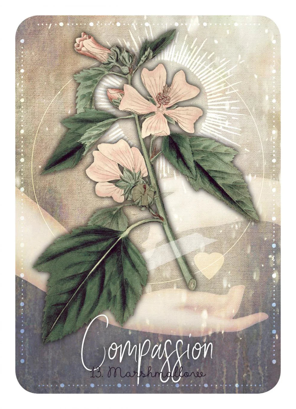 Magickal Herb Oracle: Enchanting secrets from the garden