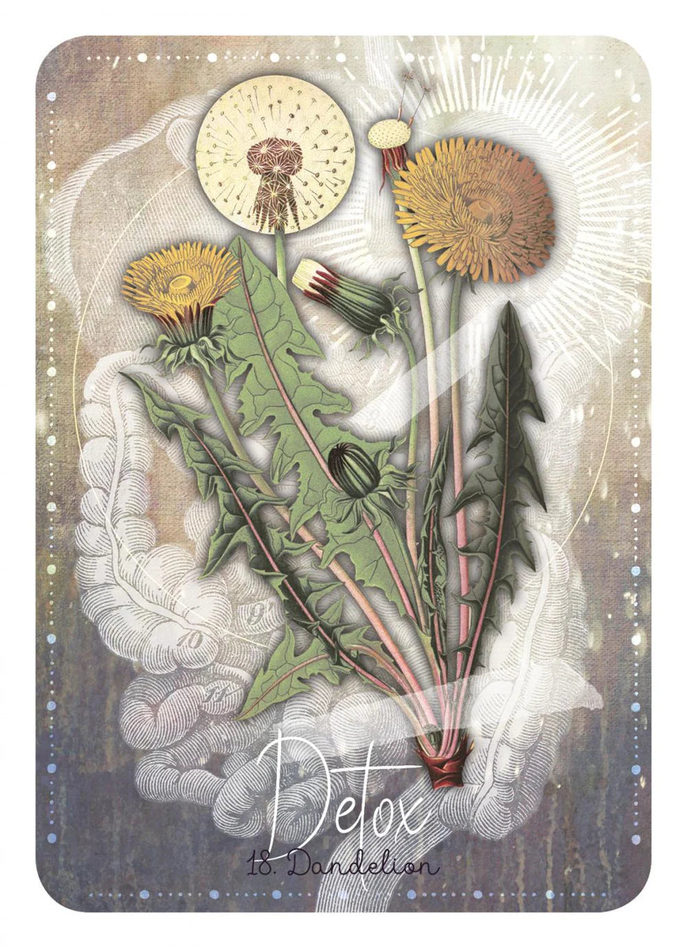 Magickal Herb Oracle: Enchanting secrets from the garden