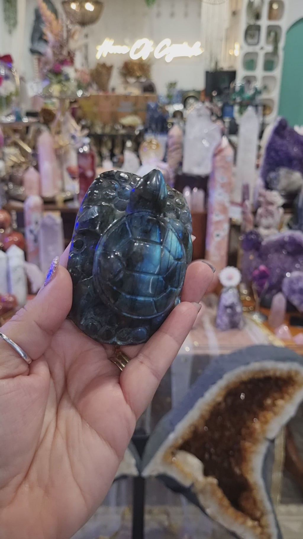 Labradorite Turtle | 196g