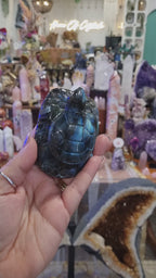 Labradorite Turtle | 196g