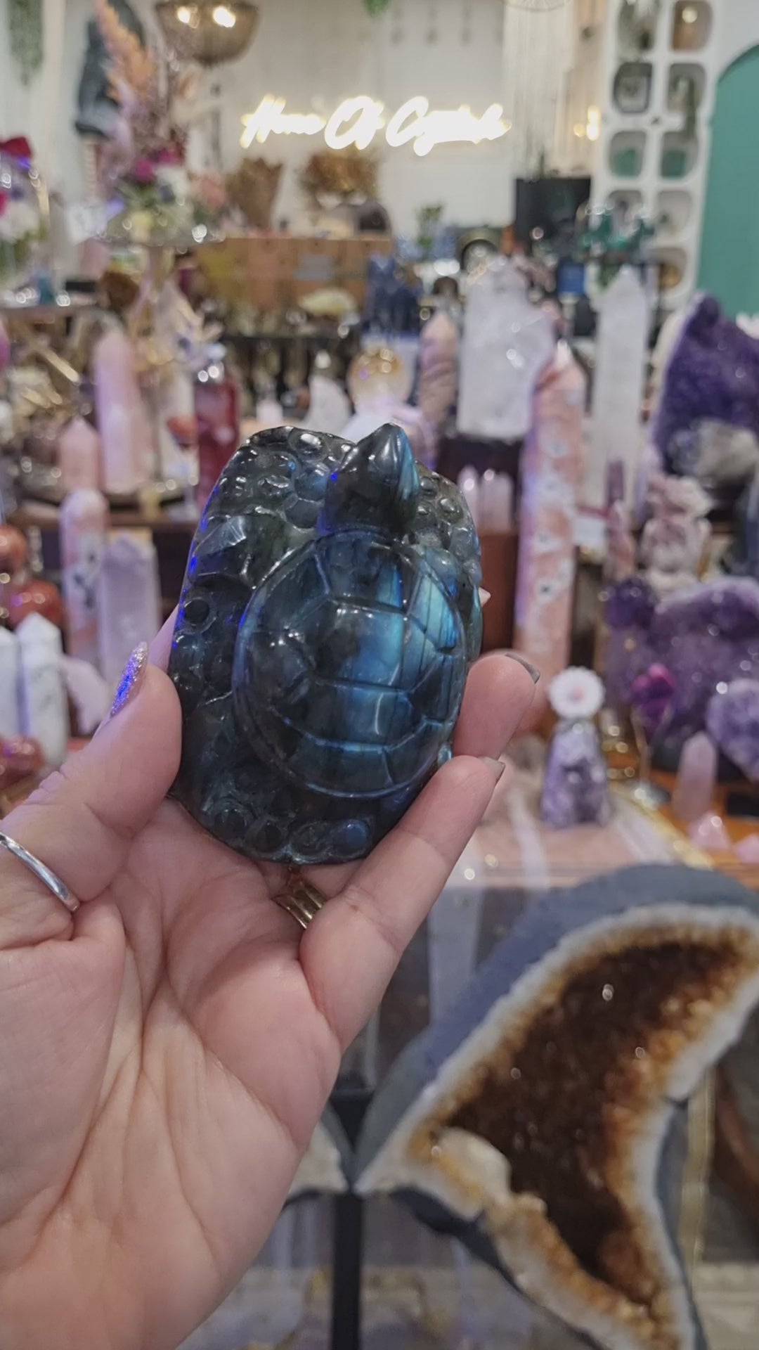 Labradorite Turtle | 196g