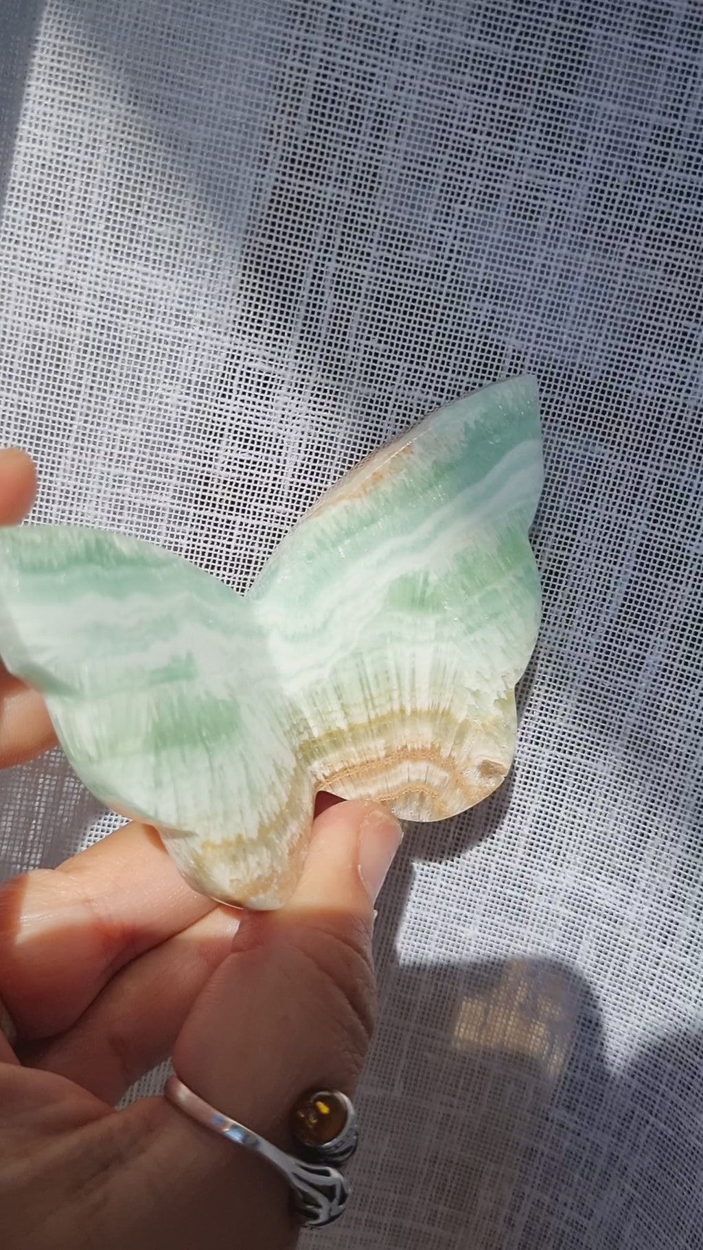 Caribbean Calcite Butterfly | 98g