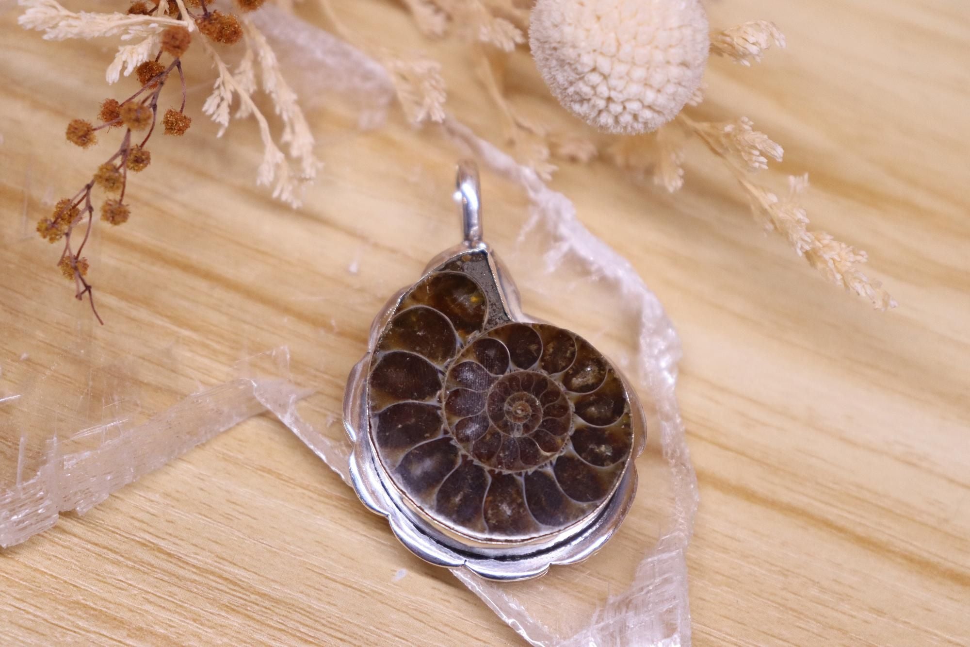 Ammonite Scalloped Pendant
