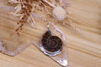 Ammonite Scalloped Pendant