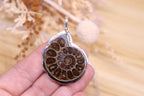 Ammonite Scalloped Pendant