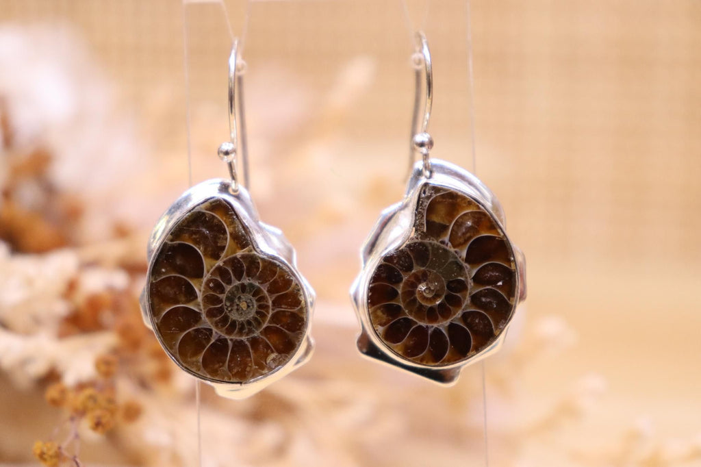 Ammonite Earrings | Hook Dangle
