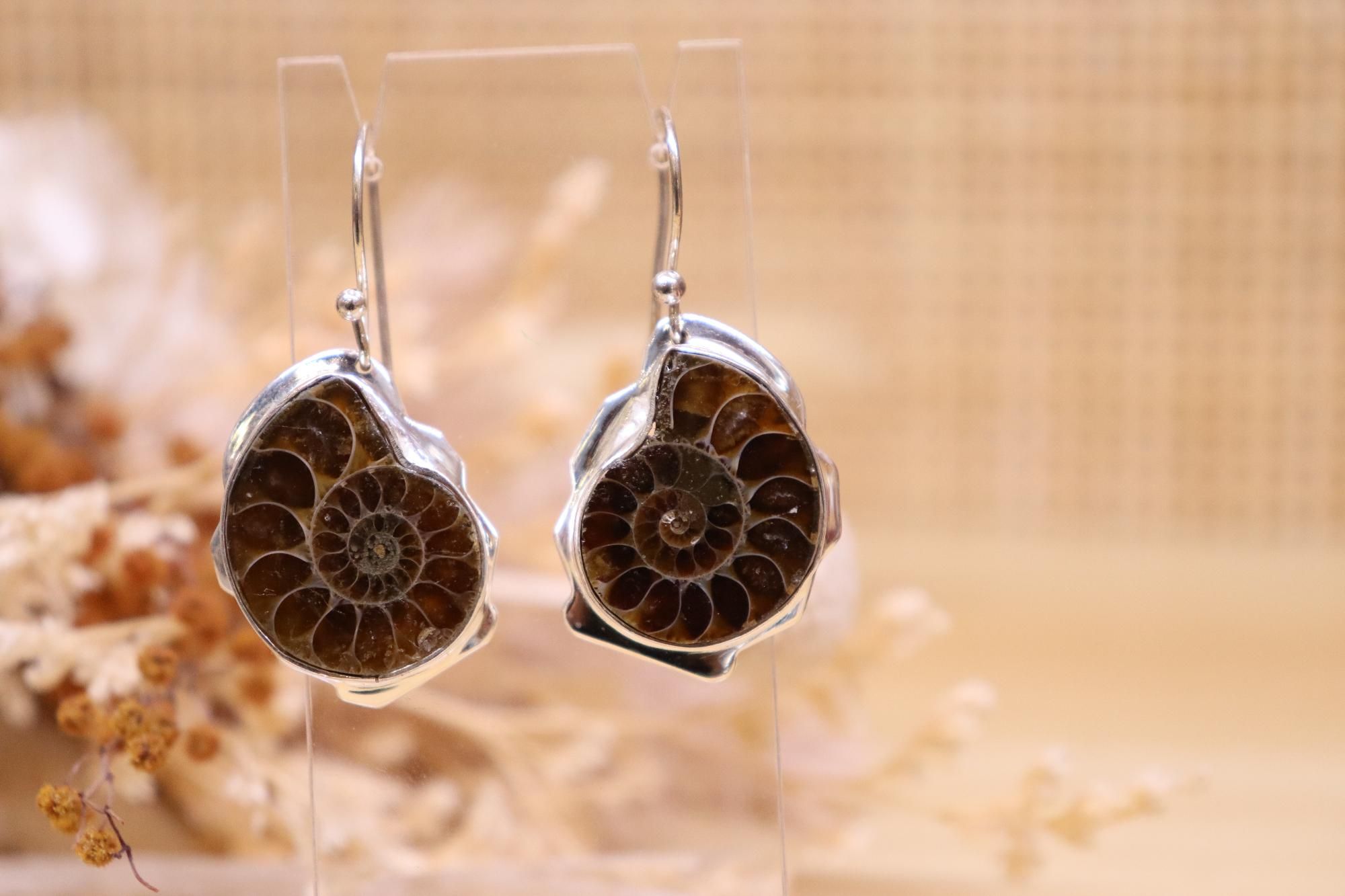 Ammonite Earrings | Hook Dangle