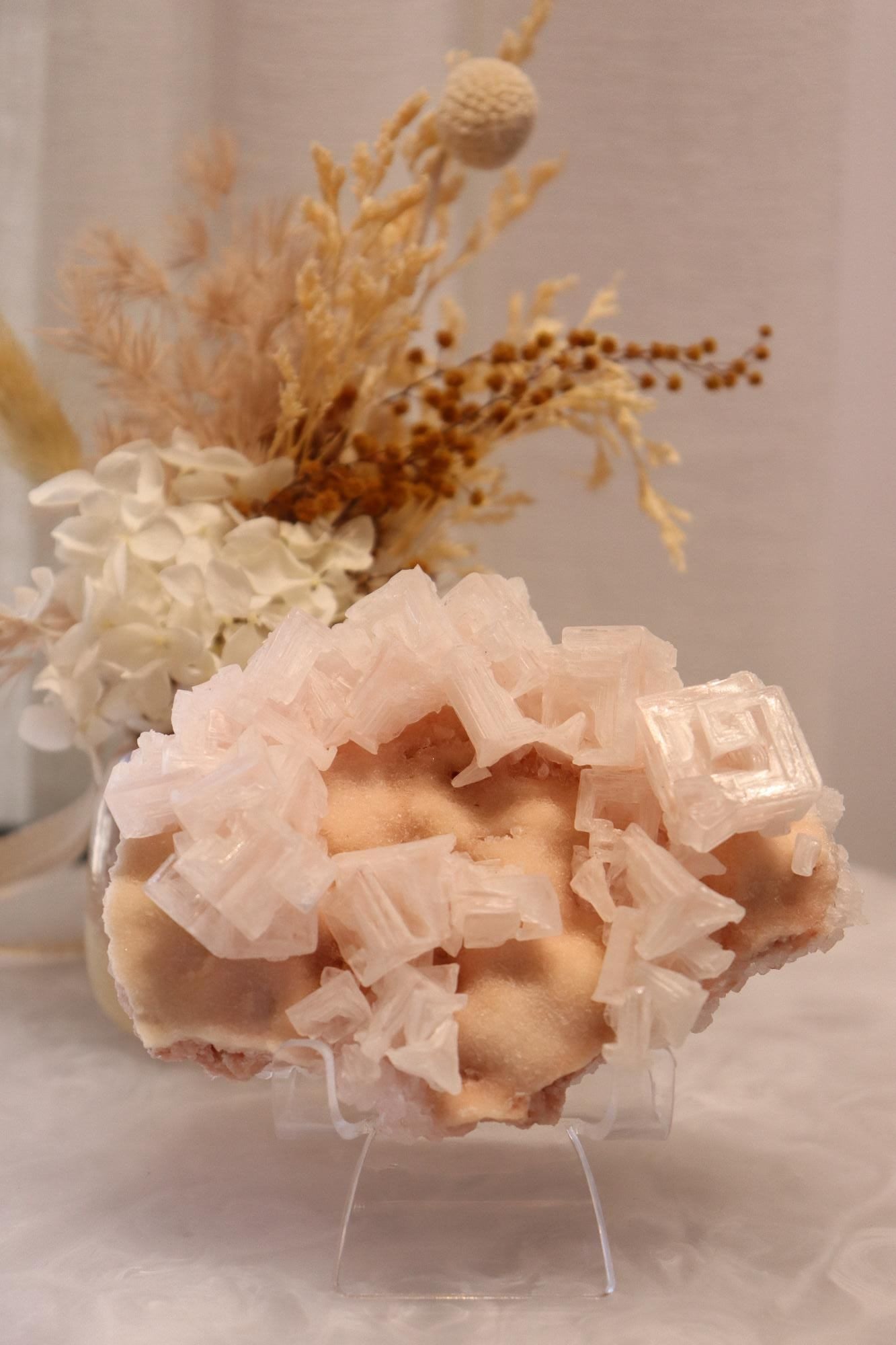 Pink Halite | Raw Specimen + Stand 225g