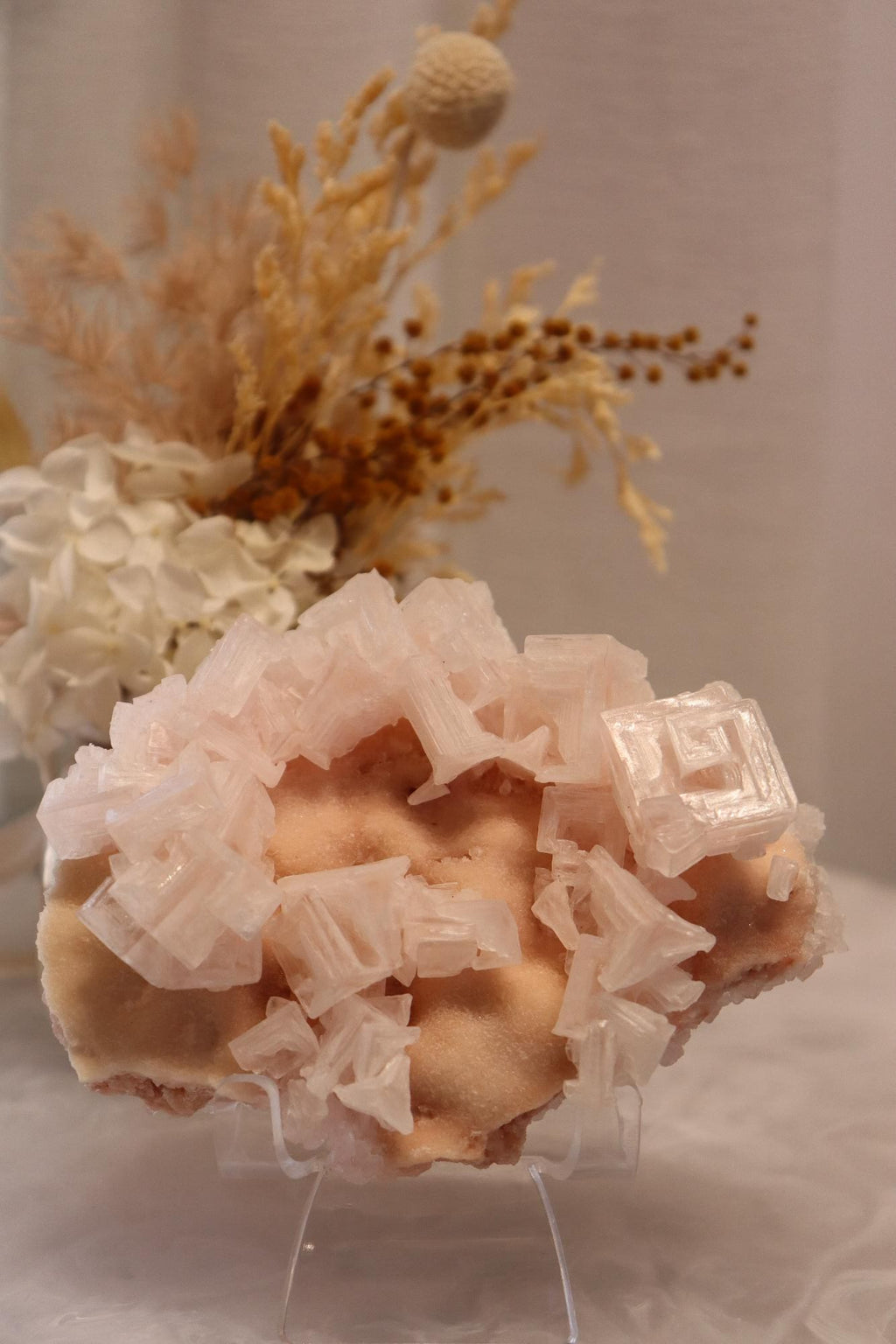 Pink Halite | Raw Specimen + Stand 225g