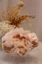 Pink Halite | Raw Specimen + Stand 225g
