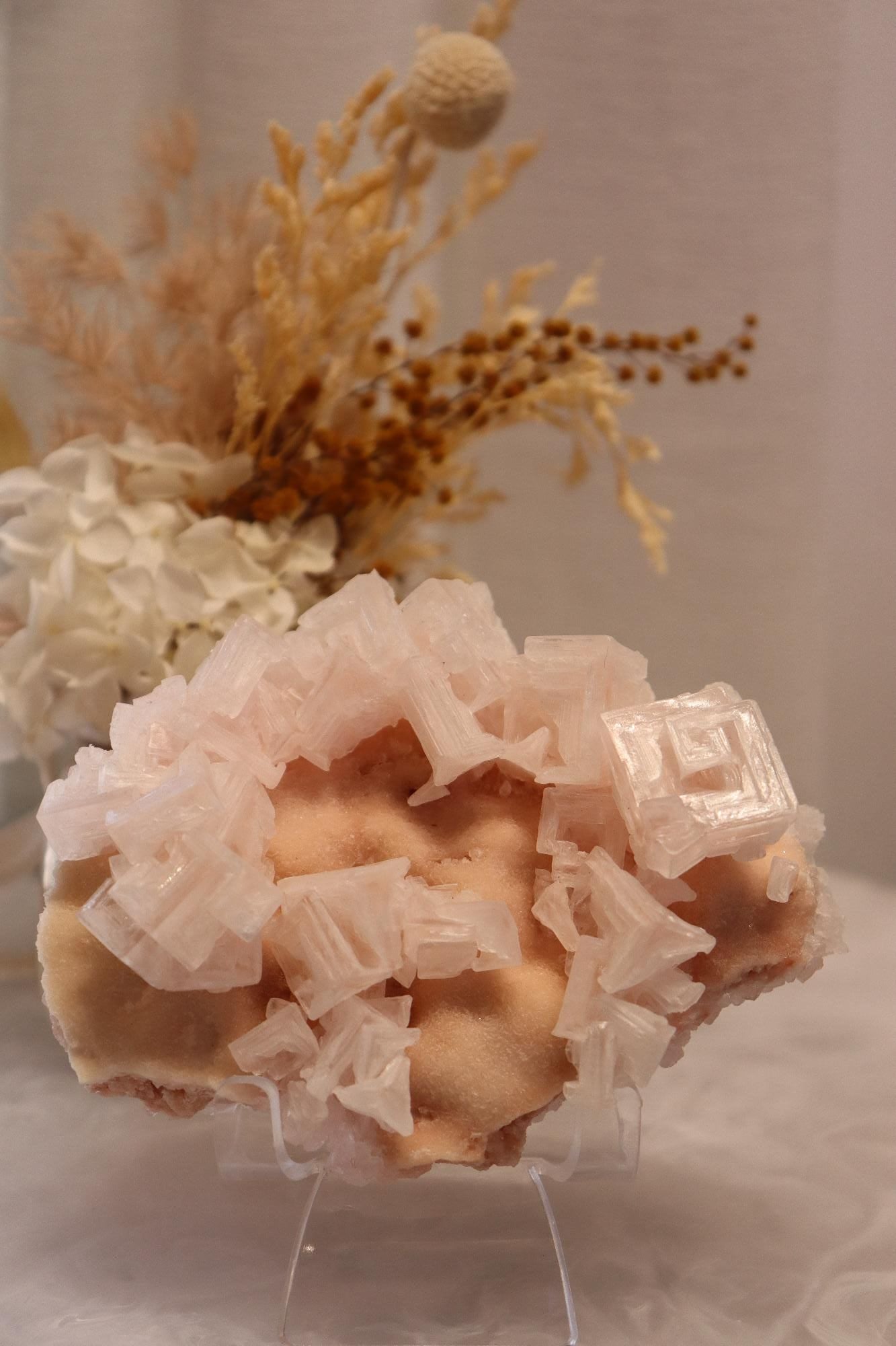 Pink Halite | Raw Specimen + Stand 225g
