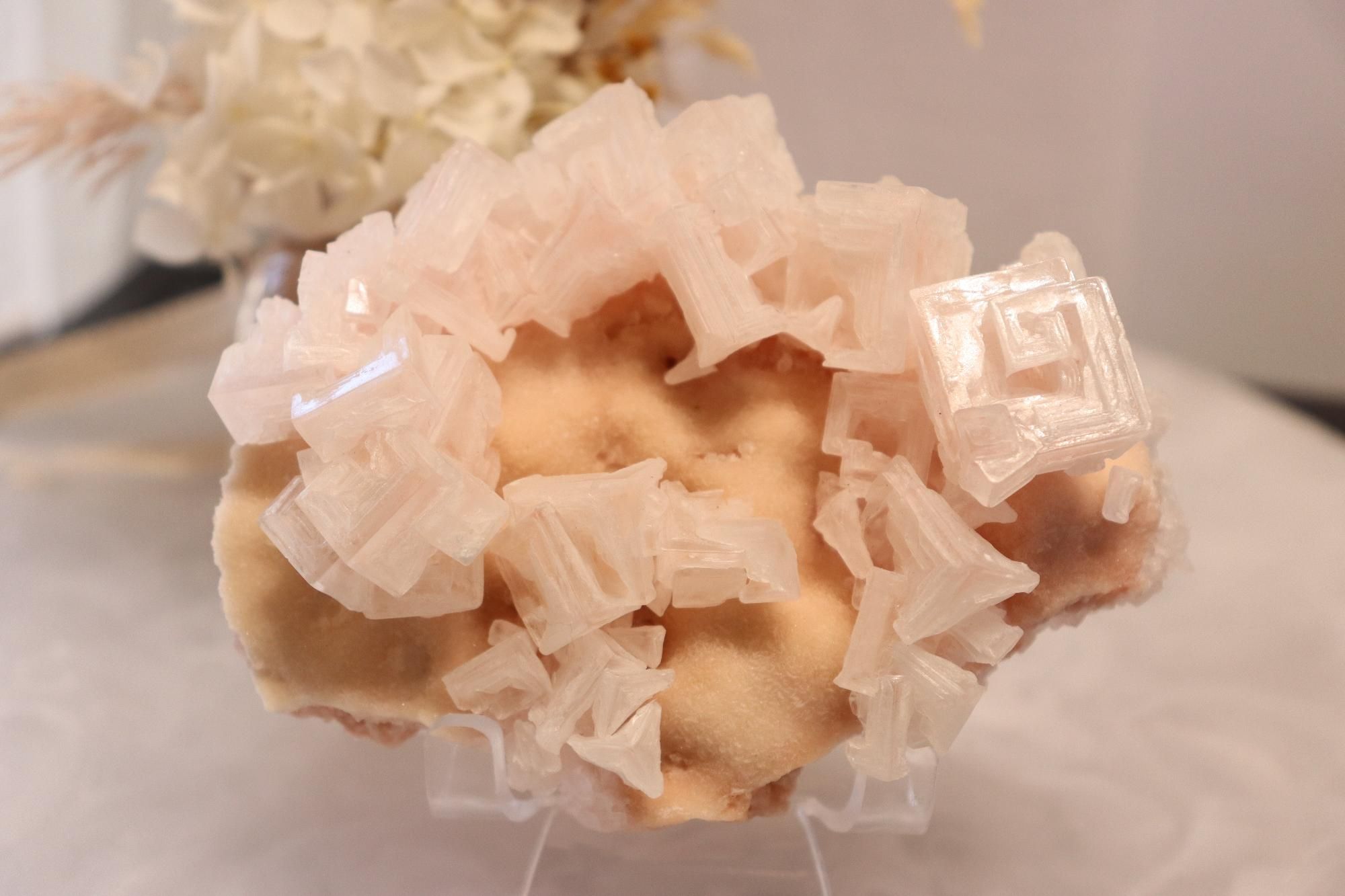 Pink Halite | Raw Specimen + Stand 225g