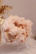 Pink Halite | Raw Specimen + Stand 225g
