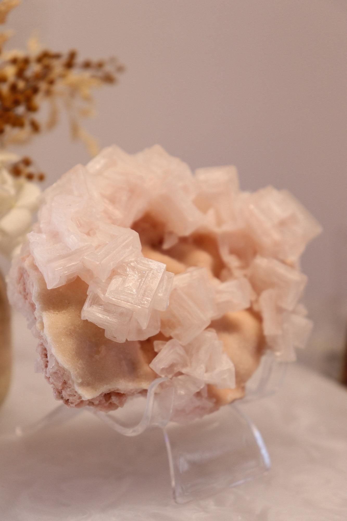 Pink Halite | Raw Specimen + Stand 225g