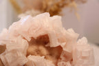 Pink Halite | Raw Specimen + Stand 225g