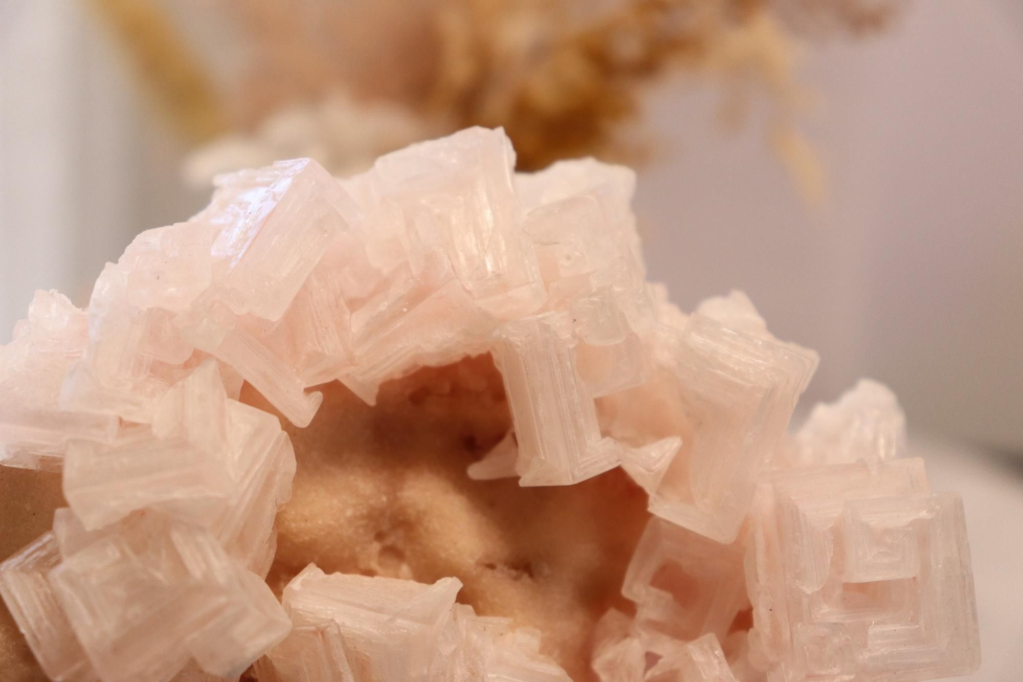 Pink Halite | Raw Specimen + Stand 225g