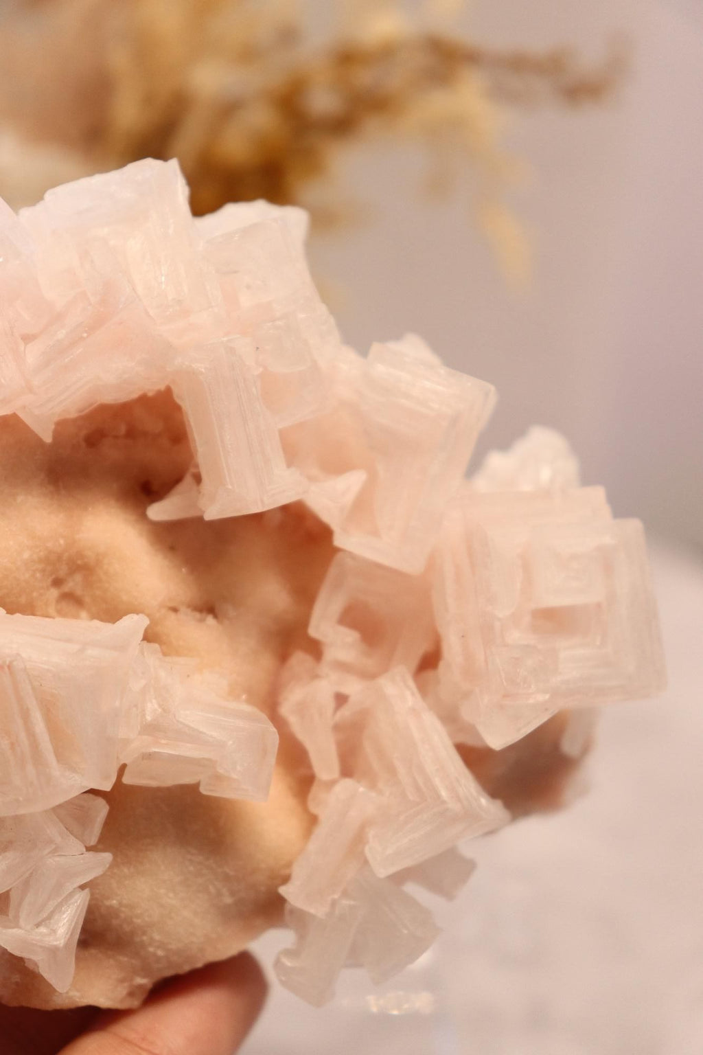 Pink Halite | Raw Specimen + Stand 225g