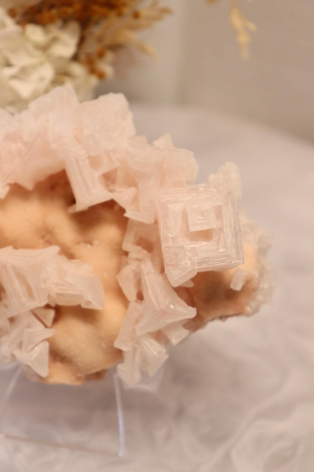 Pink Halite | Raw Specimen + Stand 225g