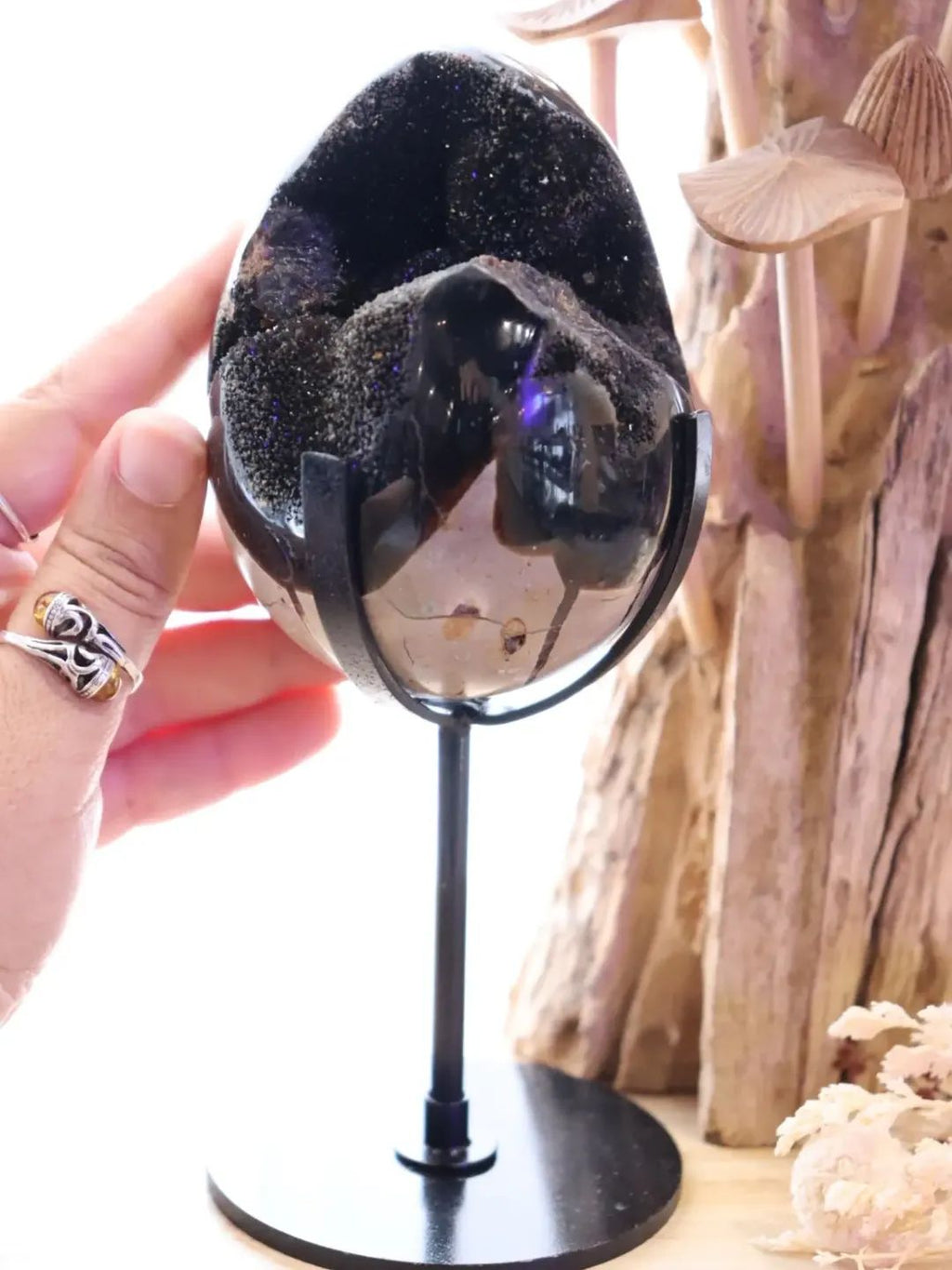 Septarian Egg + Black Metal Stand | 935g