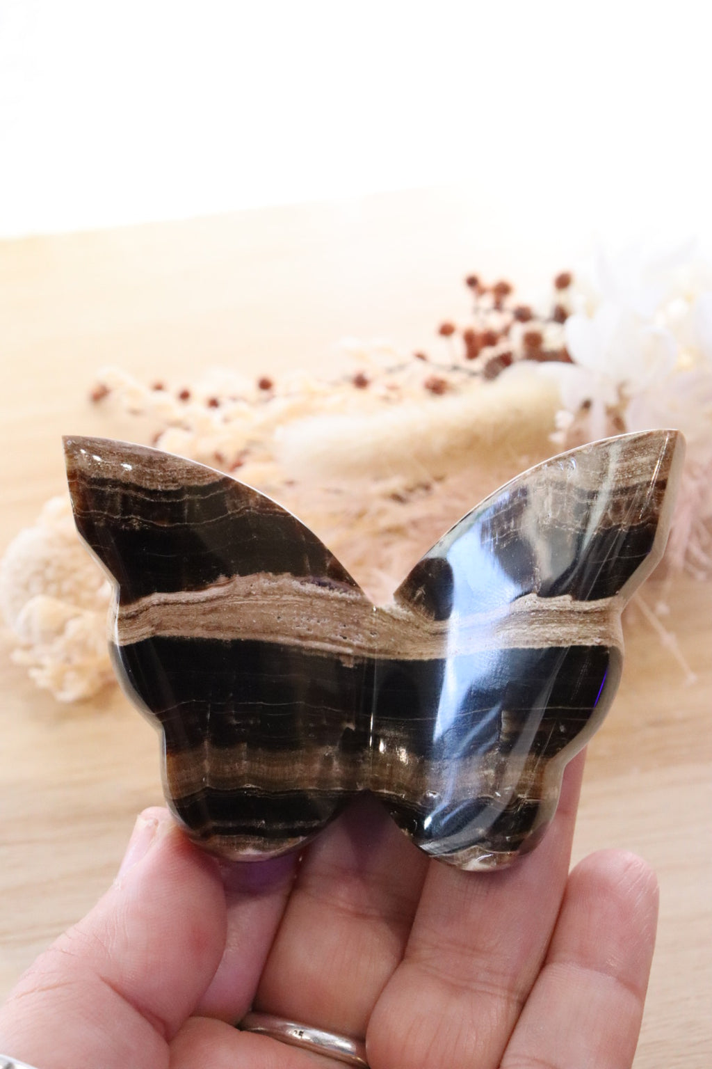 Chocolate Calcite Butterfly | 85g